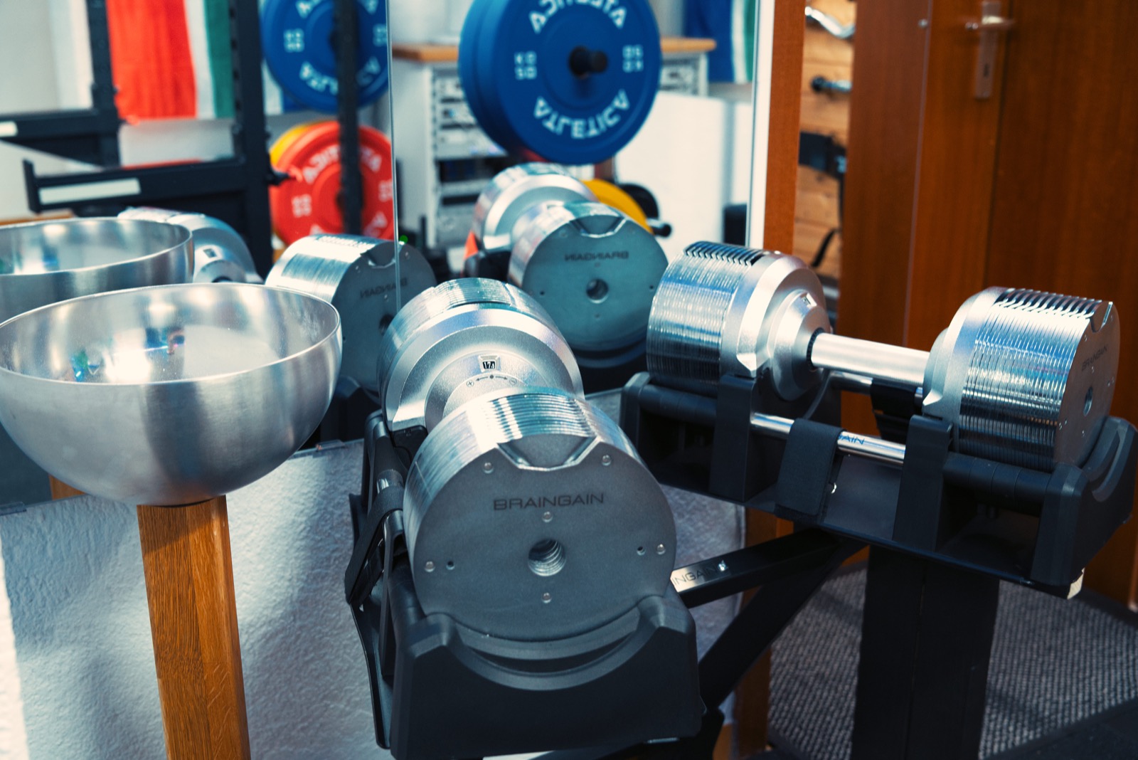 Dumbbell and plate area